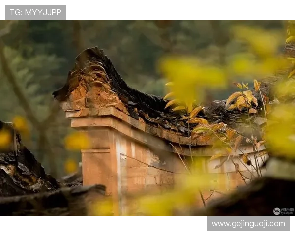 光影织梦,岁月留痕:一场关于“光影电视剧”的沉醉之旅